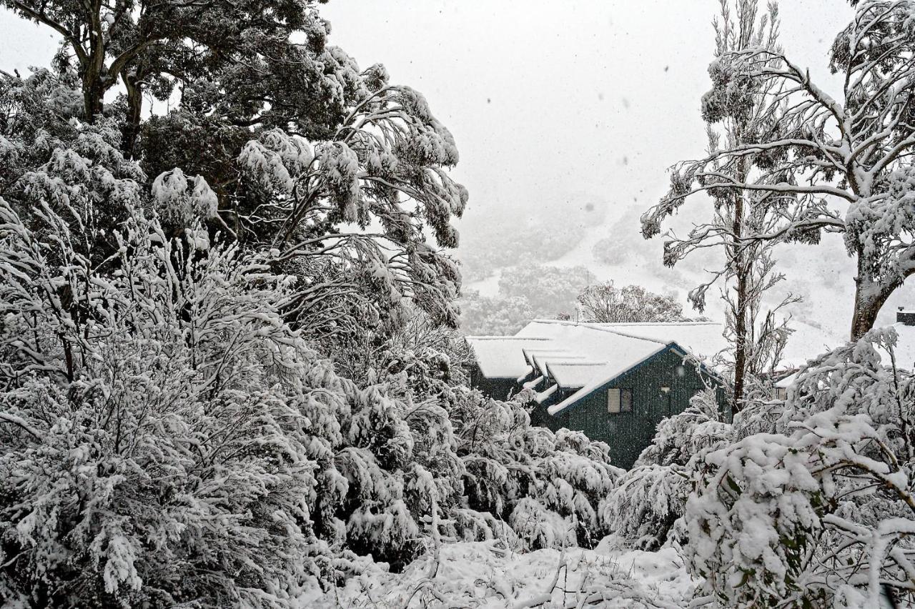 Alpenhorn Villa Thredbo Exterior photo